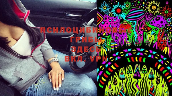 дурь Каменка
