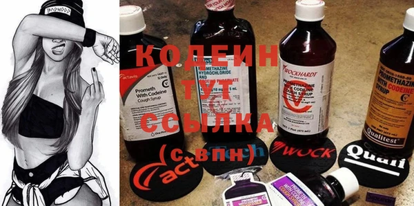 дурь Каменка