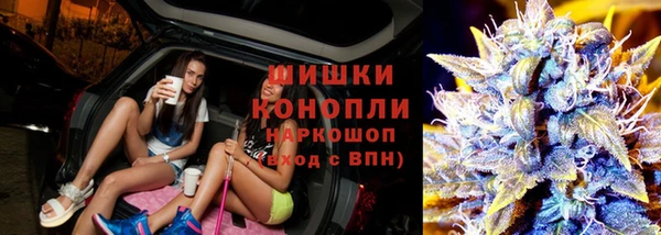 дурь Каменка
