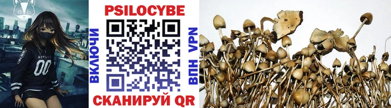 Купить  Белозерск  Псилоцибиновые грибы мухоморы 